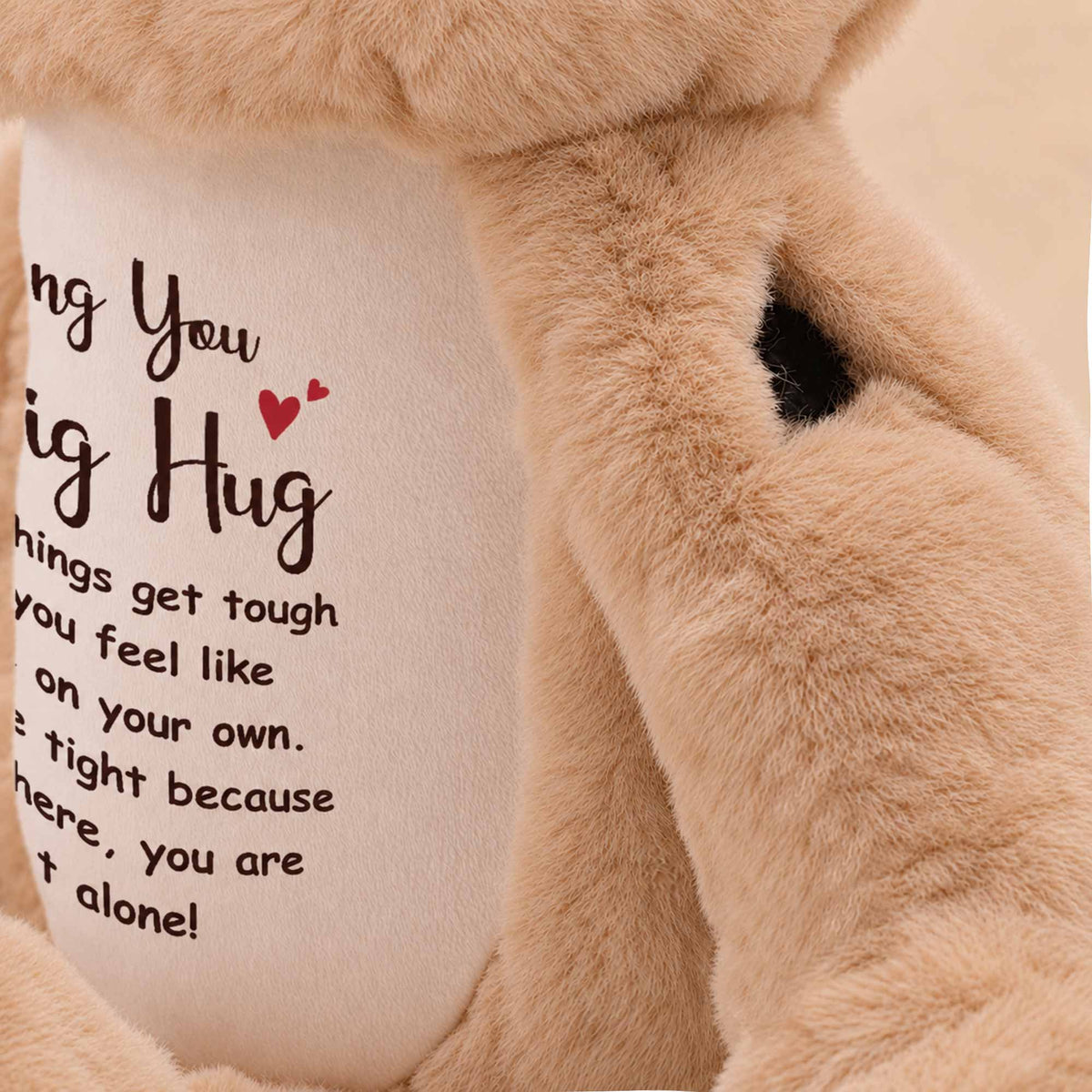 Sending A Big Hug- Plush Bear