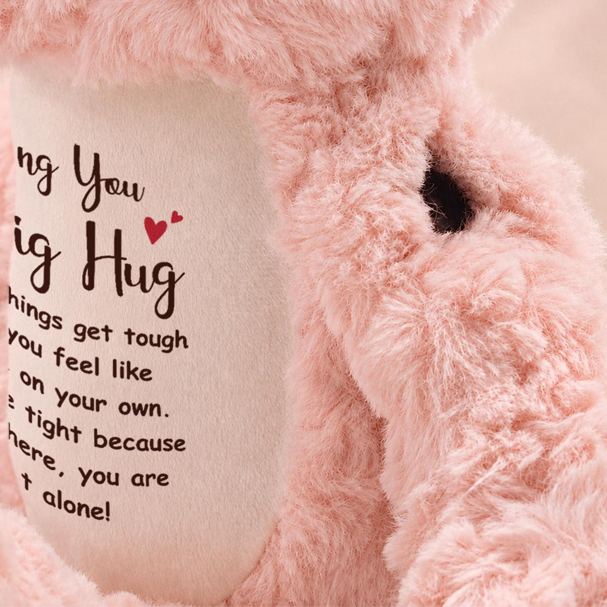 Sending A Big Hug - Pink Bear