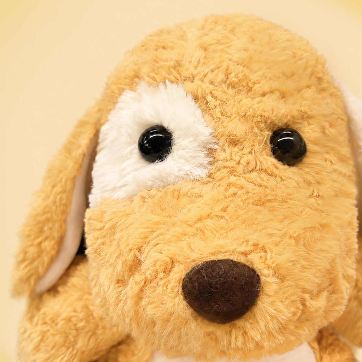 Sending You A Big Hug – Puppy