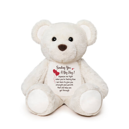 Sending You a Big Hug - White Cuddly Plush Bear