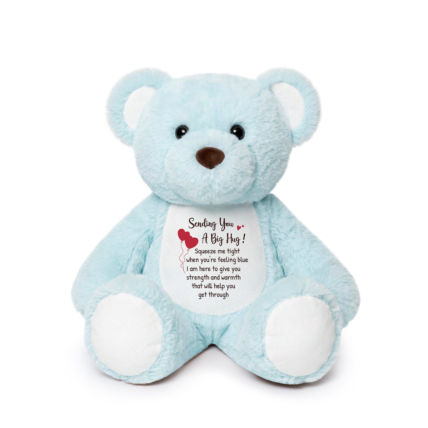 Sending You a Big Hug - Blue Cuddly Plush Bear