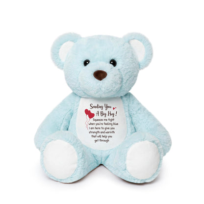 Sending You a Big Hug - Blue Cuddly Plush Bear