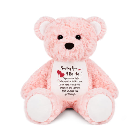 Big Hug Plush Pink Bear