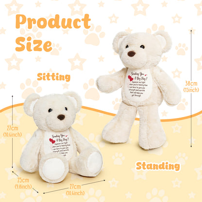 Sending You a Big Hug - White Cuddly Plush Bear