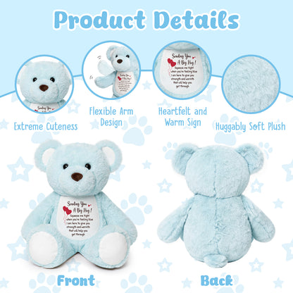 Sending You a Big Hug - Blue Cuddly Plush Bear