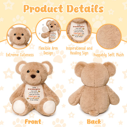 To My Granddaughter - Cuddly Plush Bear