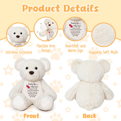 Sending You a Big Hug - White Cuddly Plush Bear