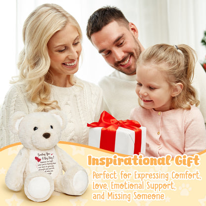 Sending You a Big Hug - White Cuddly Plush Bear