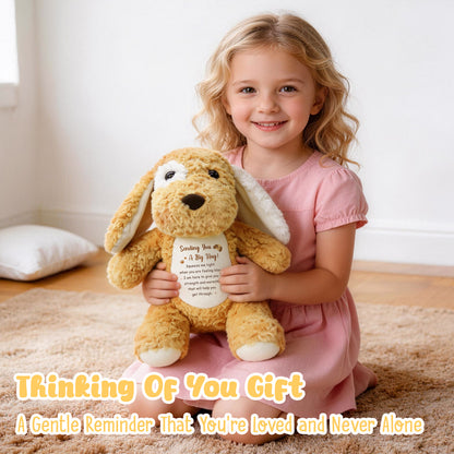 Sending You A Big Hug! – Cuddly Plush Puppy