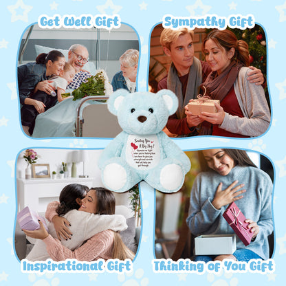 Sending You a Big Hug - Blue Cuddly Plush Bear