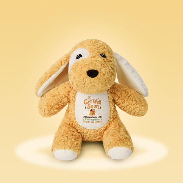 Plush puppy with an embroidered Get Well Soon message, a cuddly get well soon gift