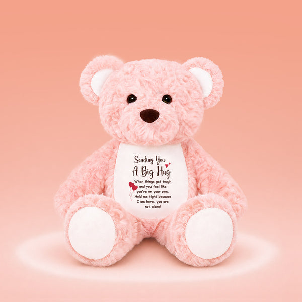 Pink plush bear with a Sending You A Big Hug message, long distance Christmas gift for a friend